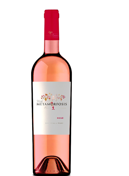 Vitis Metamorfosis Rose