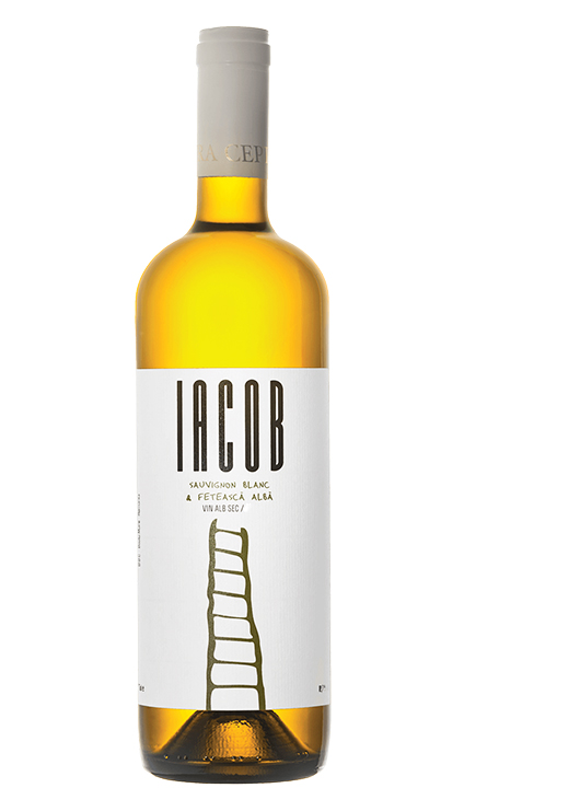 Davino Iacob Alb