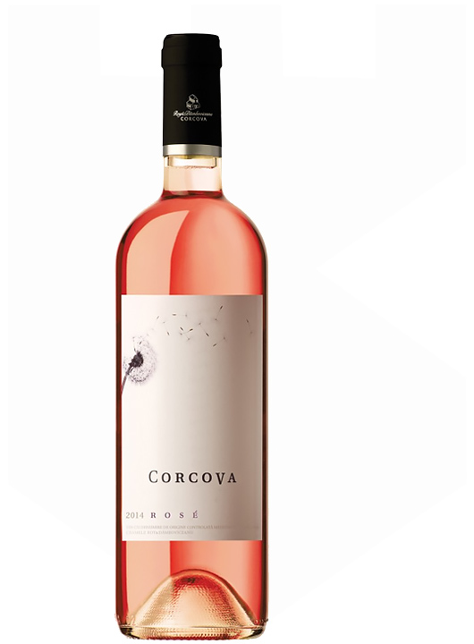 Corcova Rose