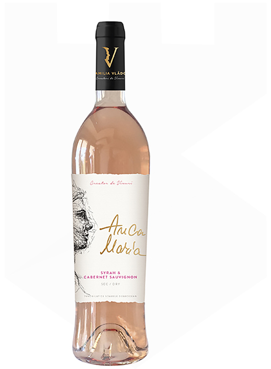Domeniul Vladoi Anca Maria Rose
