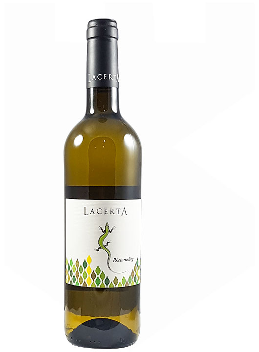 Lacerta Rheinriesling