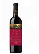 Cantus Primus Feteasca Neagra