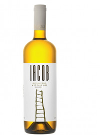Davino Iacob Alb