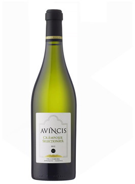 Avincis Cramposie Selectionata