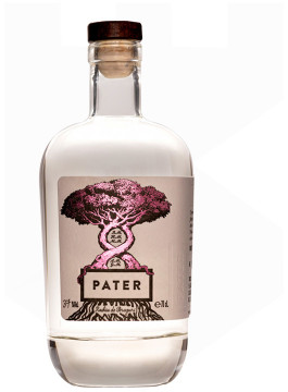 Pater Rachiu de struguri