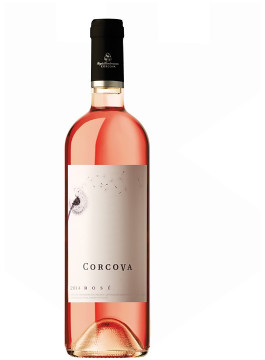 Corcova Rose
