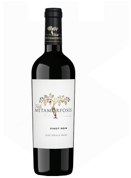Vitis Metamorfosis Pinot Noir