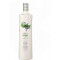 petrnoi blanco