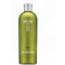 Tatratea CITRUS 32%